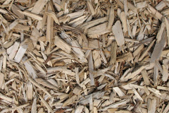 biomass boilers Rhydlydan