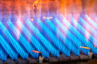 Rhydlydan gas fired boilers